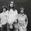 Фотография артиста Dinosaur Jr.