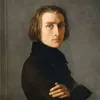 Фотография артиста Franz Liszt