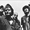 Фотография артиста Levellers