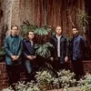 Фотография артиста Bombay Bicycle Club