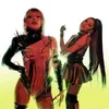 Фотография артиста Lady Gaga & Ariana Grande