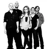 Фотография артиста The Cardigans