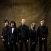 Фотография артиста A Perfect Circle