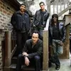 Фотография артиста Dave Matthews Band