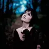 Фотография артиста Dolores O'Riordan