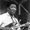 Фотография артиста Muddy Waters