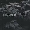 Фотография артиста Unworldly