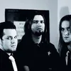 Фотография артиста Cold in May