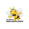 Radio Abelha Gospel - ouça o rádio online