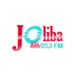 Joliba105.0 FM