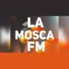 La Mosca FM - Escucha la radio en línea