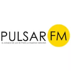 Radio Pulsar Fm