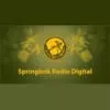 Springbok Radio - listen radio online