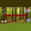Radio Waldviertel - Radio online hören