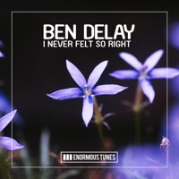 Ben Delay - i never felt so right (record mix)