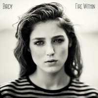 Birdy - wings (nulogic rmx)