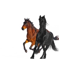 Lil Nas X - star walkin