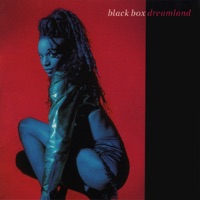 Black Box - i don't know anybody else [we got salsoul mix]
