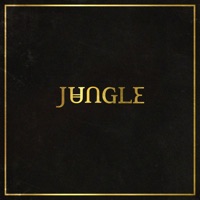 Jungle - good times (braxe + falcon remix)