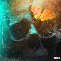 Halsey - walls could talk