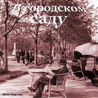 Владимир Нечаев - служили три пилота