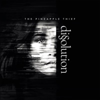 The Pineapple Thief - how did we found our way?
