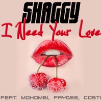 Shaggy - i need your love (feat. mohombi & faydee & costi)