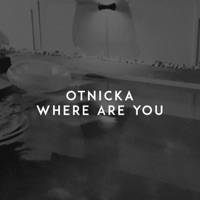 Otnicka - turn it around