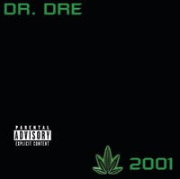Dr. Dre - a nigga witta gun