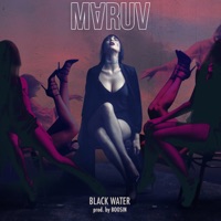 MARUV - drunk groove (kolya funk & mephisto remix) (feat.boosin)