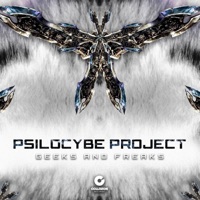 Psilocybe Project - separation anxiety