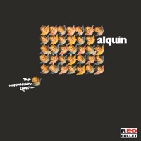 Alquin - fool in the mirror