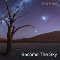 Oak Shine - seventh dimension (original mix)