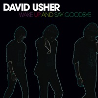 David Usher - black black heart