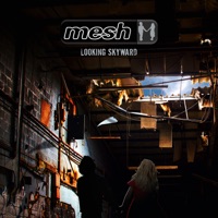Mesh - leave you nothing
