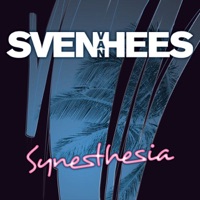 Sven Van Hees - citylights