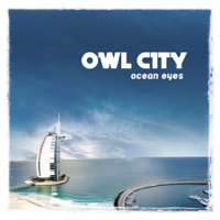 Owl City - fireflies
