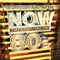 Belinda Carlisle - heaven is a place on earth (album version)
