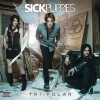 Sick Puppies - riptide (acoustic version)
