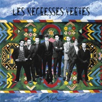 Les Négresses Vertes - les rablablas les roubliblis