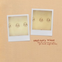 Carissa's Wierd - chelsea hotel