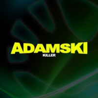 Adamski - pipe groover