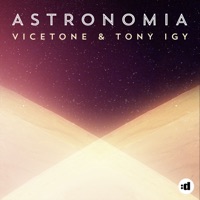 Vicetone - u miss me