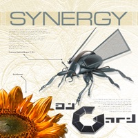 Synergy - atlas