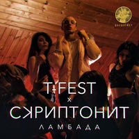 T-Fest - окно
