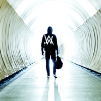 Alan Walker - moonshine