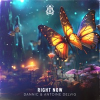 Dannic - gravity