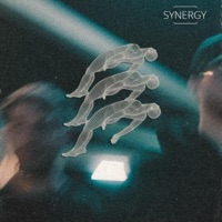 Synergy - vector