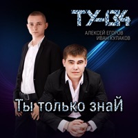 Ту-134 - незабываемая