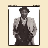 Muddy Waters - muddy waters' twist